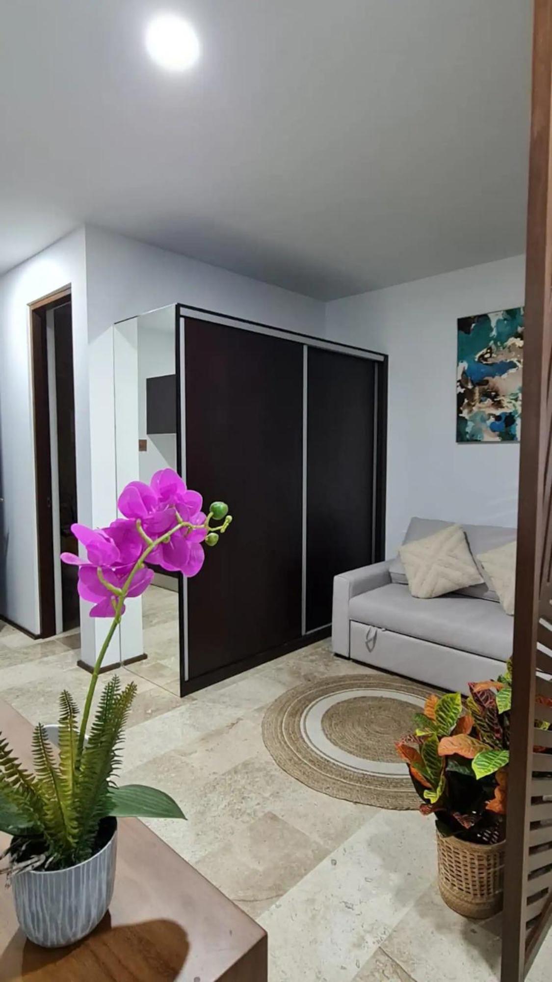 Tulum Departamento De Lujo公寓 外观 照片